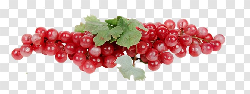 Sultana Zante Currant Grape Seedless Fruit Berry Transparent PNG