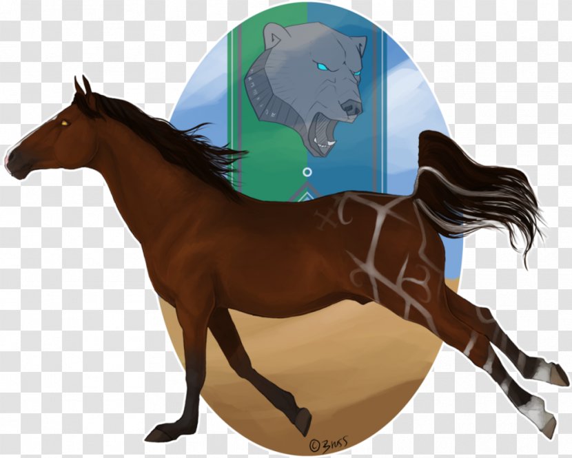 Mane Mustang Stallion Rein Pony - Horse Transparent PNG