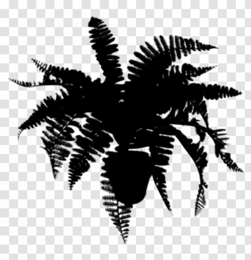 Palm Trees Silhouette Leaf - Fern Transparent PNG