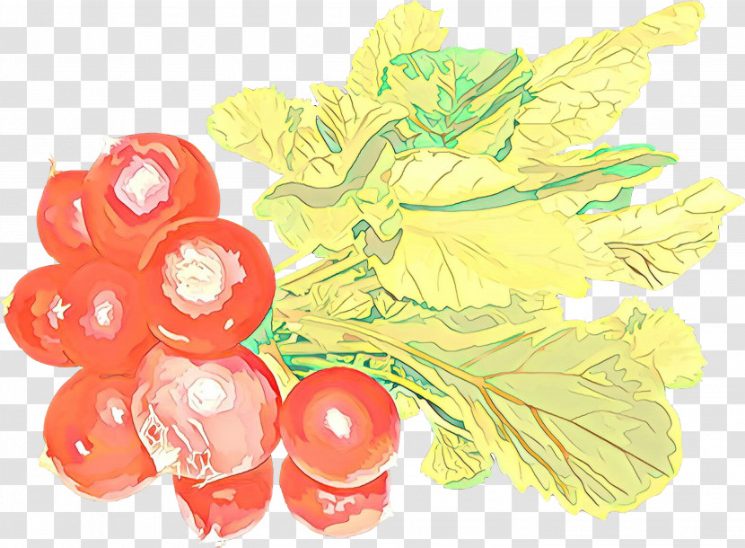 Fruit Grape Plant Food Vitis Transparent PNG