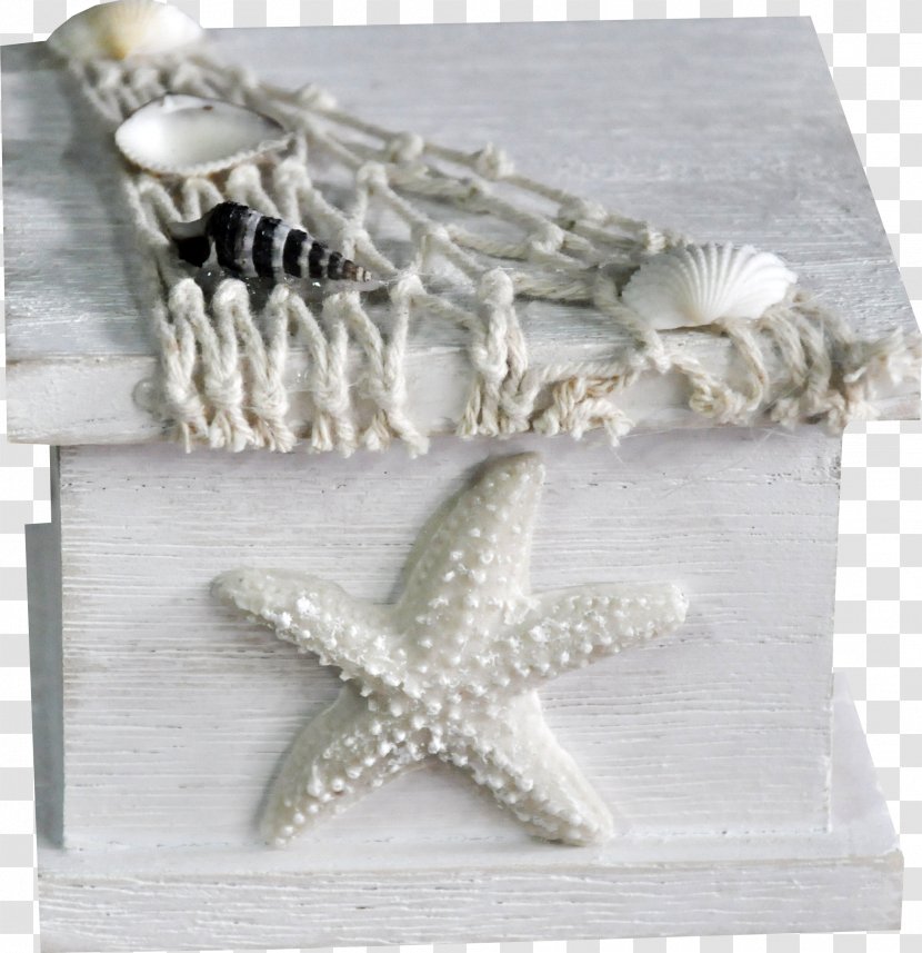 Seashell Photography Clip Art - Muhe Starfish Transparent PNG