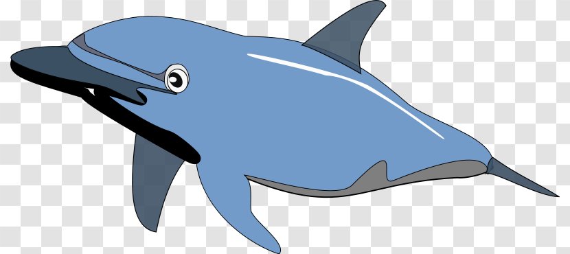 Spinner Dolphin Clip Art - Fish - Creatures Cliparts Transparent PNG