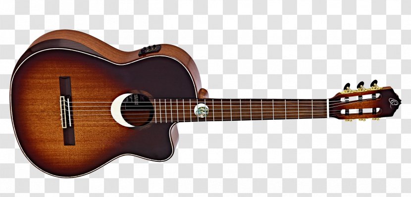 Steel-string Acoustic Guitar Acoustic-electric Tanglewood Guitars - Tree - Amancio Ortega Transparent PNG