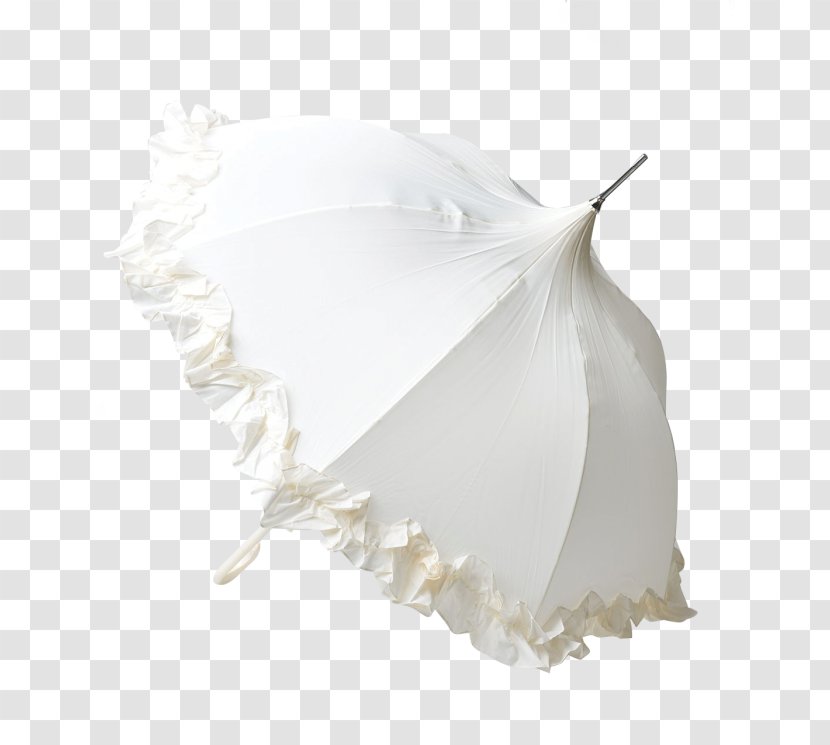 Hair Clothing Accessories - Accessory Transparent PNG