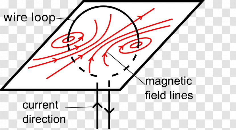 Magnetic Field Craft Magnets Magnetism Electricity Horseshoe Magnet - Electromagnetism Transparent PNG