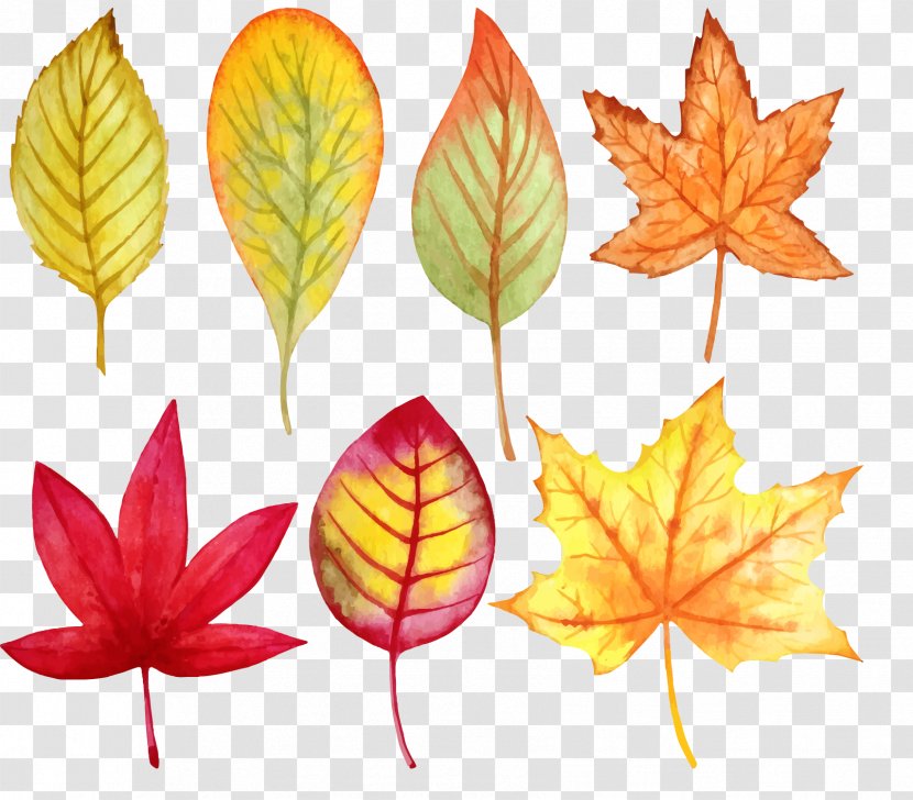 Leaf Watercolor Painting Autumn - Shrub - Vector Leaves Transparent PNG