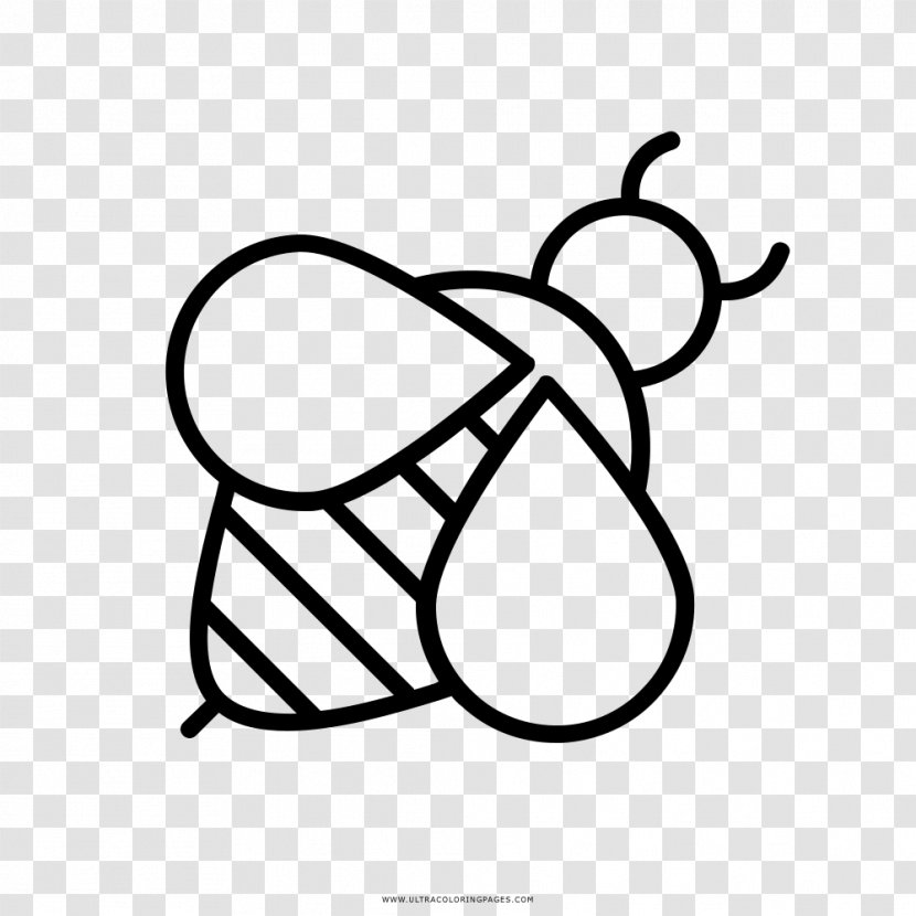 Western Honey Bee Maya Coloring Book Drawing - Line Art Transparent PNG