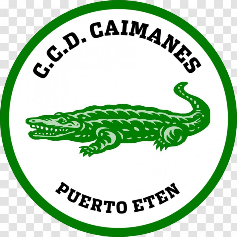 Los Caimanes Chiclayo Sport Loreto Unión Huaral Segunda División - Caiman Transparent PNG