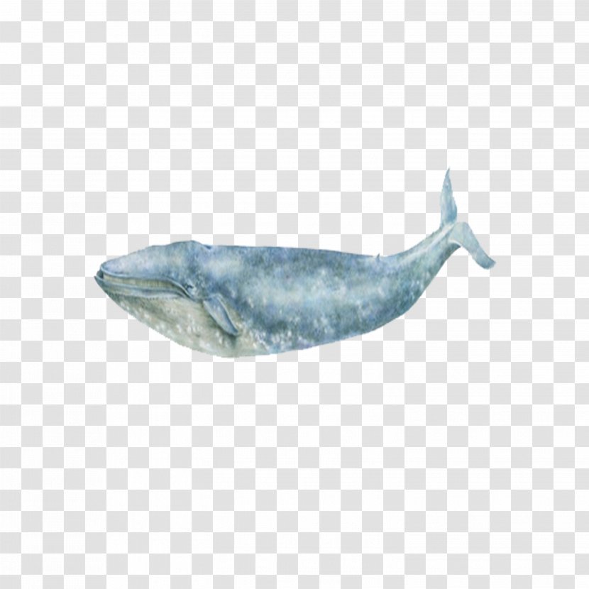 Blue Whale Sea Ocean - Aqua - Oceans Transparent PNG