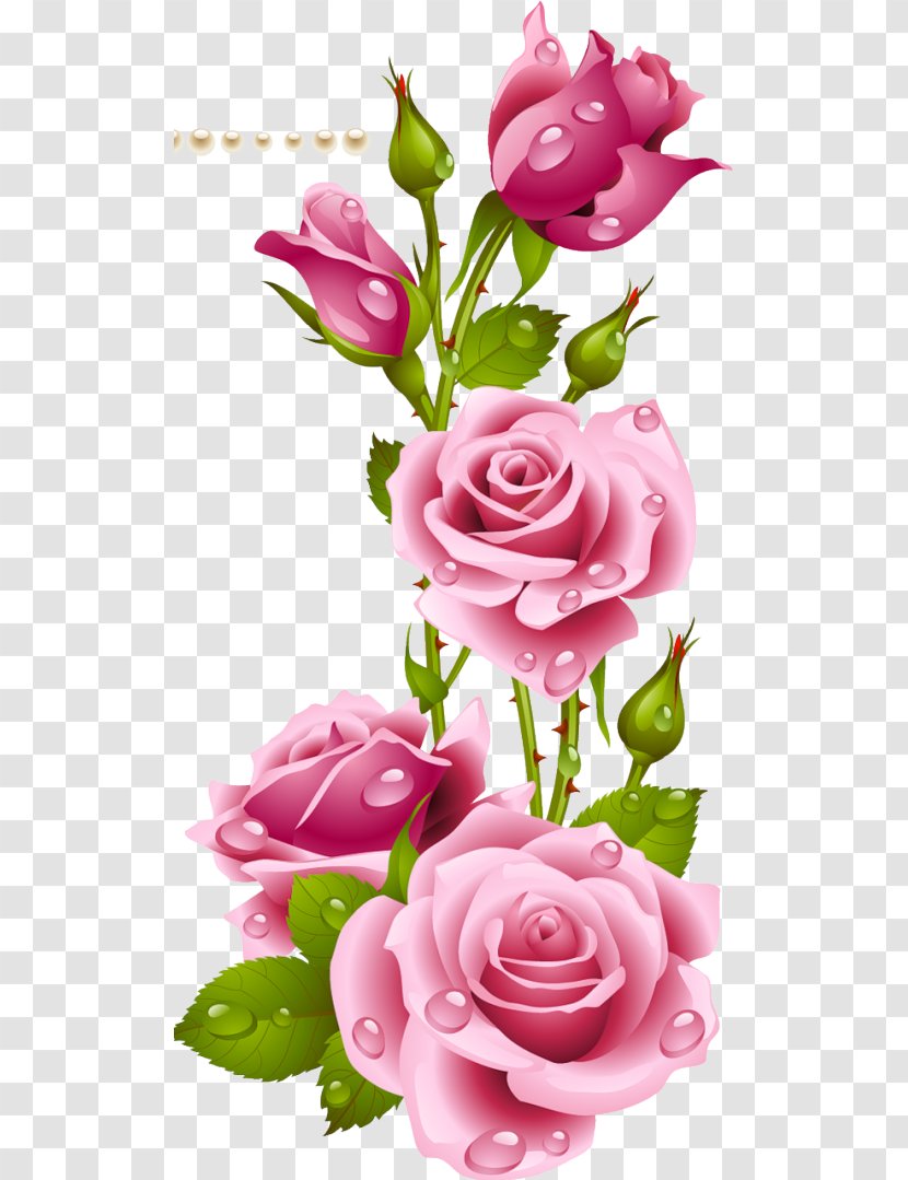 Desktop Wallpaper Flower Garden Roses - Smartphone Transparent PNG
