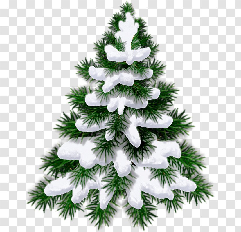 New Year Tree 0 1 Divination - Heart Transparent PNG