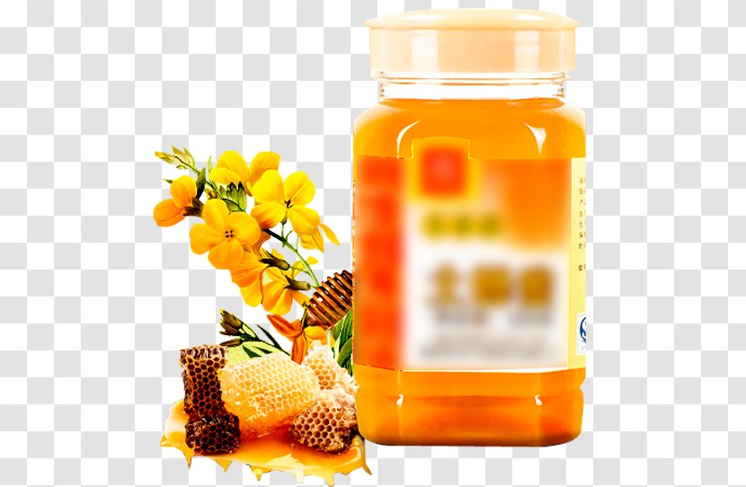 Honey Bee Black Locust - Flavor - Natural Transparent PNG