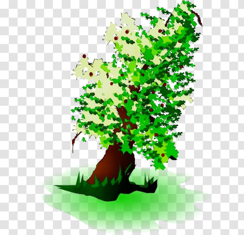 Green Nature Tree Leaf Plant - Stem Branch Transparent PNG