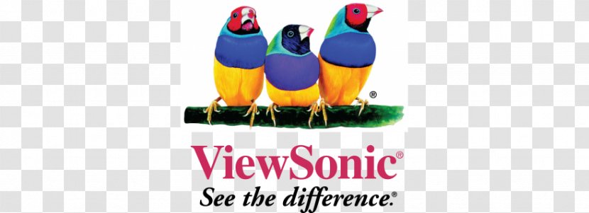 ViewSonic Computer Monitors Logo - Home Theater Systems - Electronic Visual Display Transparent PNG
