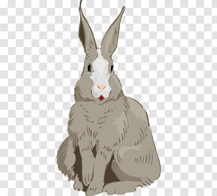 Domestic Rabbit Hare Easter Bunny Cottontail - Felidae Transparent PNG