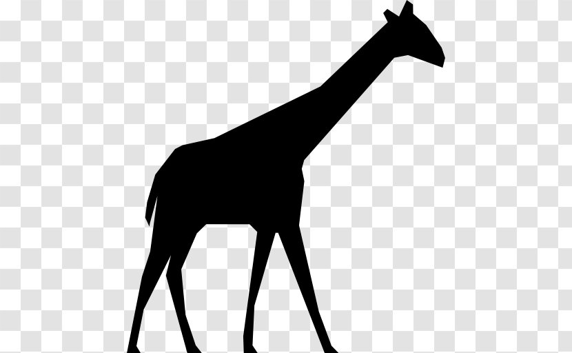 Giraffe Silhouette - Wildlife Transparent PNG