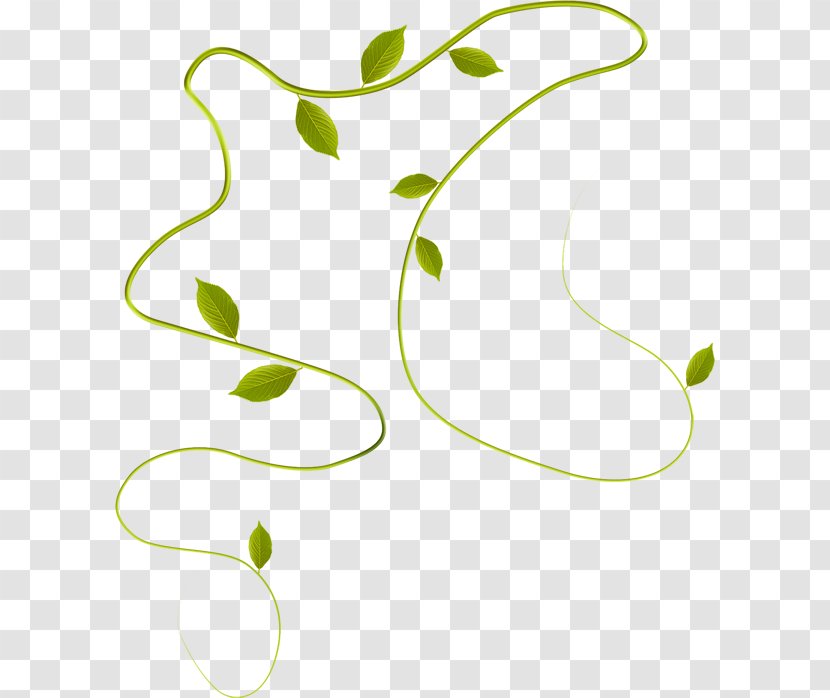 Image Hosting Service CorelDRAW Clip Art - Flower - Plant Transparent PNG