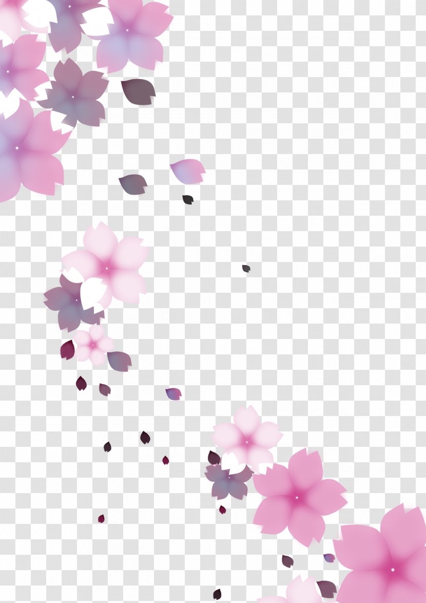 Cherry Blossom Cerasus - Floral Design - Blossoms Transparent PNG