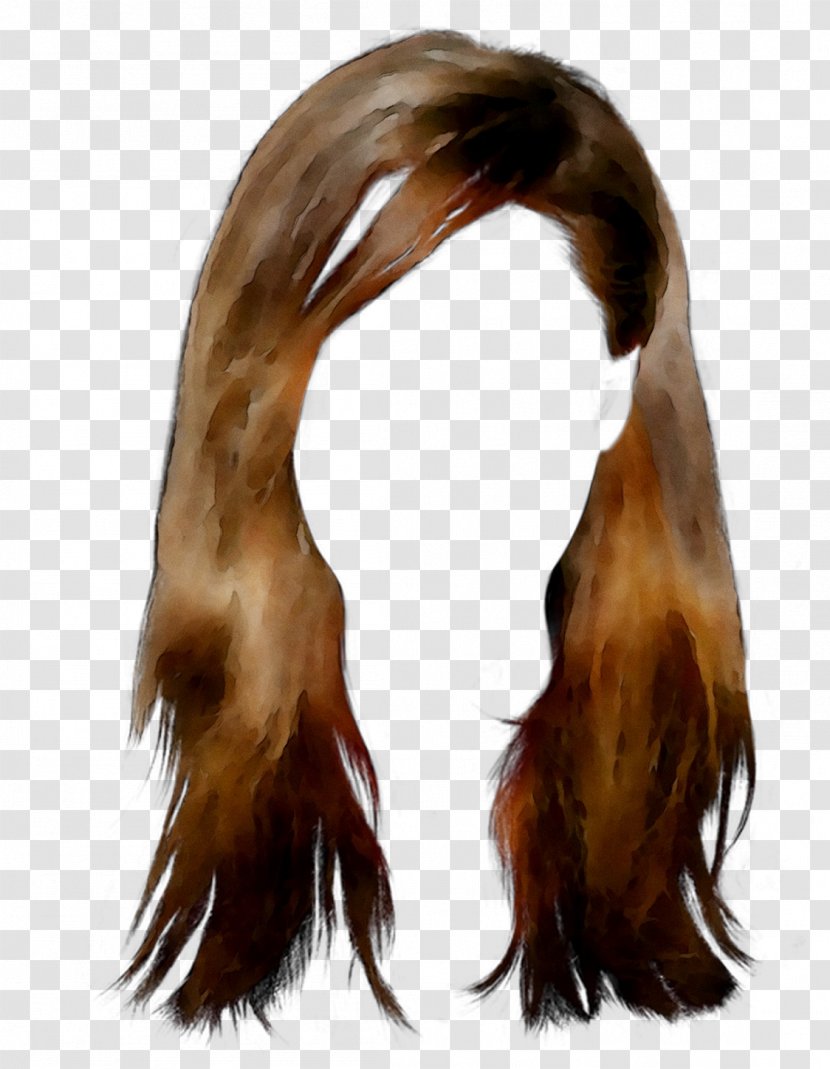 Long Hair Fur Brown Wig - Accessory - Human Transparent PNG