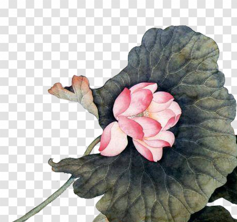 Paper Chinese Painting Art Wallpaper - Flower - Lotus Transparent PNG