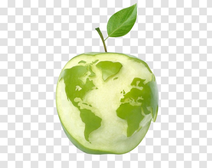 United States Apple Cider World Fruit - Map Transparent PNG