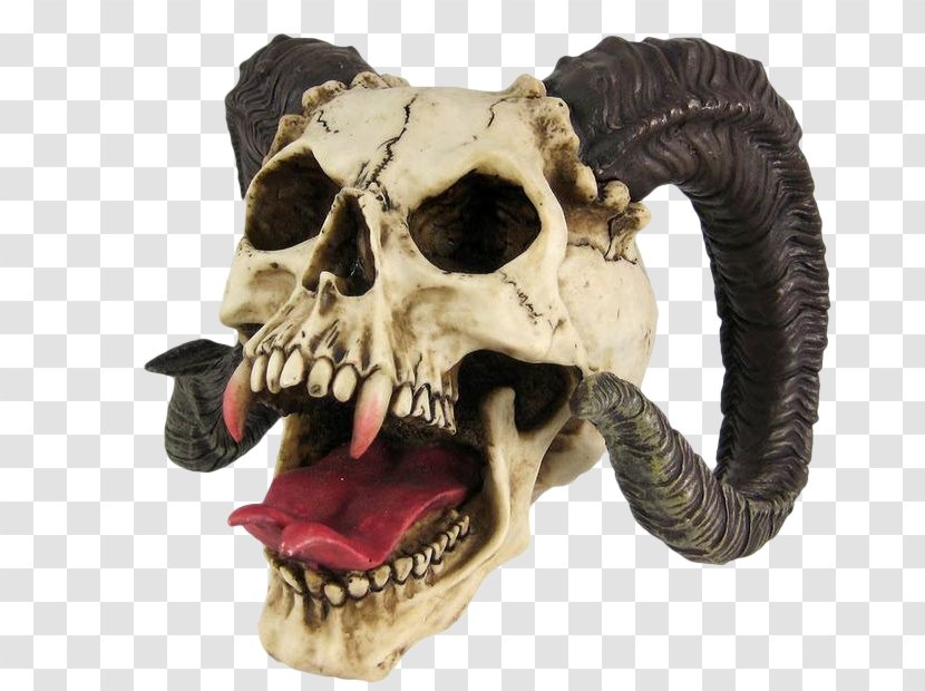 Skull Horn Figurine Statue Skeleton - Mouth - Vampire Transparent PNG