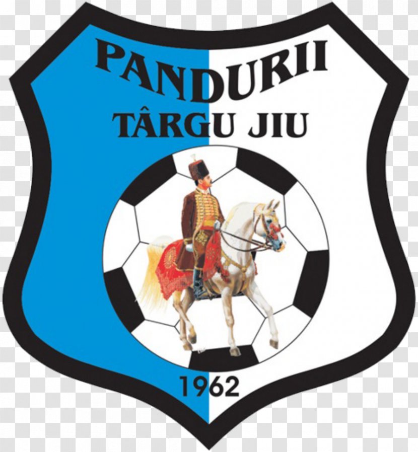 CS Pandurii Târgu Jiu Stadionul Tudor Vladimirescu Liga I Cluj-Napoca Mioveni - Cs Transparent PNG