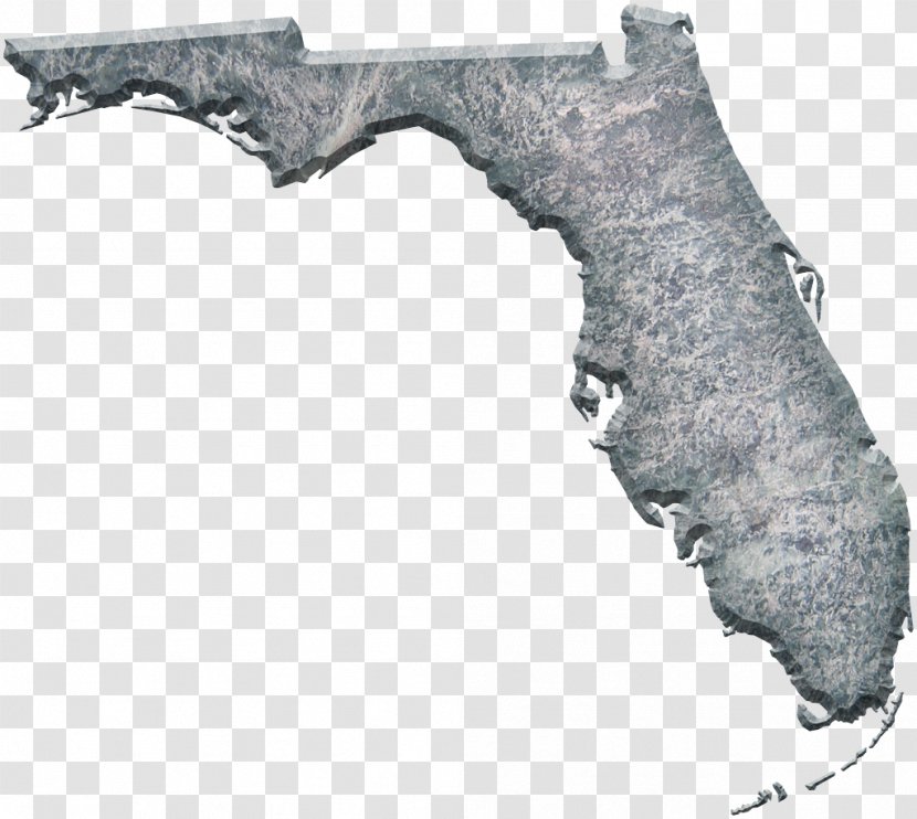 Map Fort White Clip Art - Florida Transparent PNG
