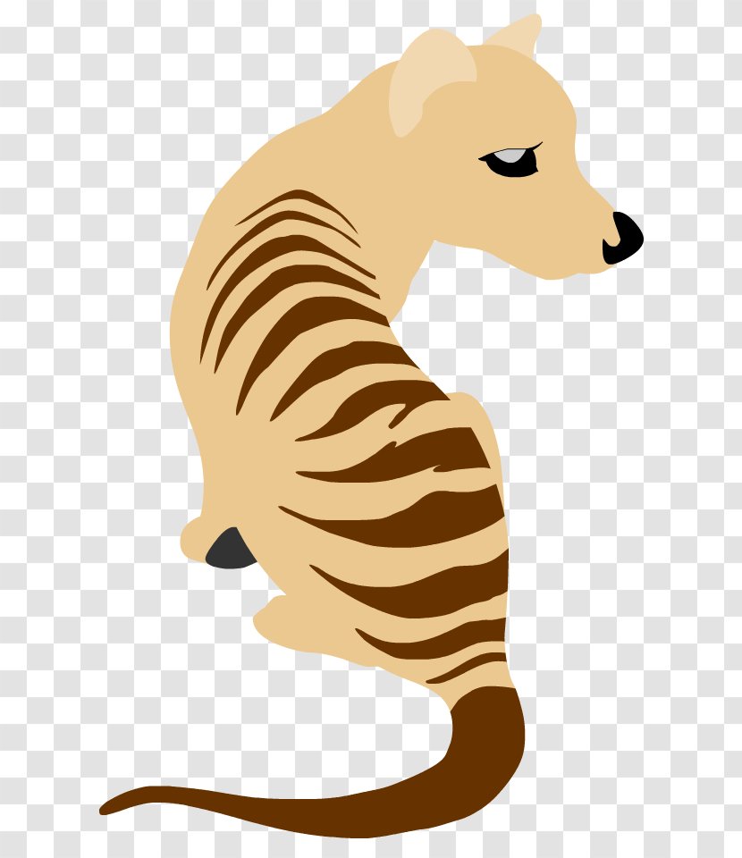 Whiskers Tiger Lion Cat Canidae - Cartoon Transparent PNG