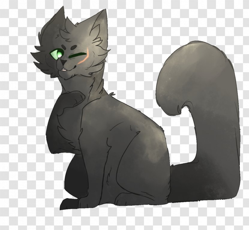 Whiskers Kitten Black Cat Tail - Mammal Transparent PNG