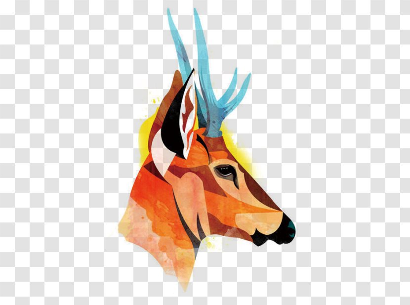 Fauna De Chile South American Gray Fox Andean Deer - Animal - Collage Giraffe Transparent PNG