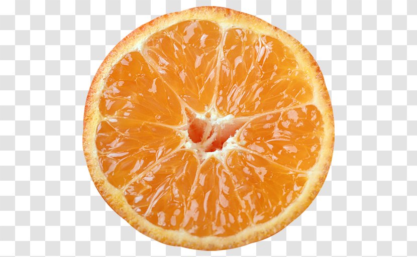 Clementine Tangerine Mandarin Orange Essential Oil Rangpur - Grapefruit Transparent PNG