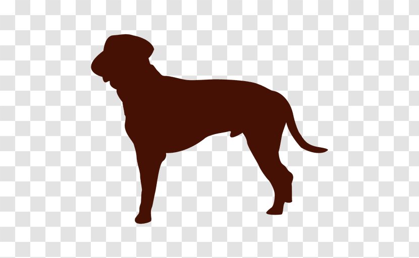 Dog Breed Puppy Companion Sporting Group - Snout Transparent PNG