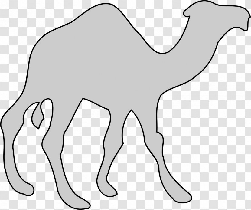 Dromedary Pack Animal Wildlife Mammal - Flower - Cool Clipart Transparent PNG