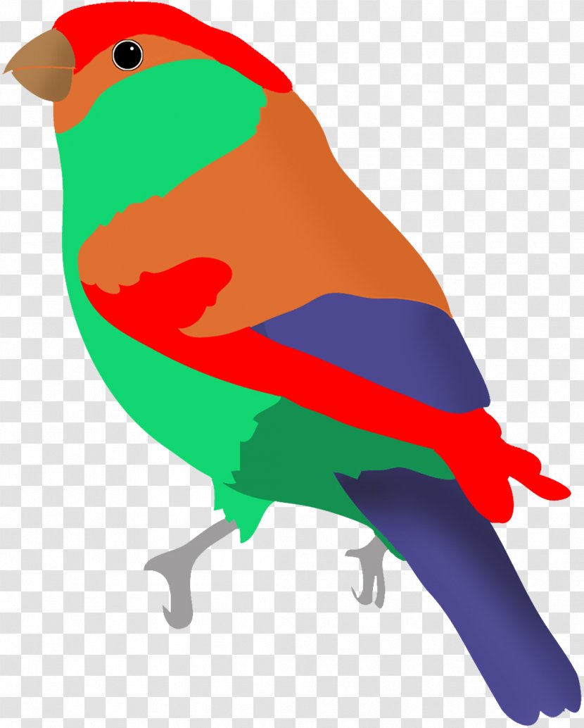 Lovebird Parrot Hummingbird Clip Art - Colored Pencil Transparent PNG