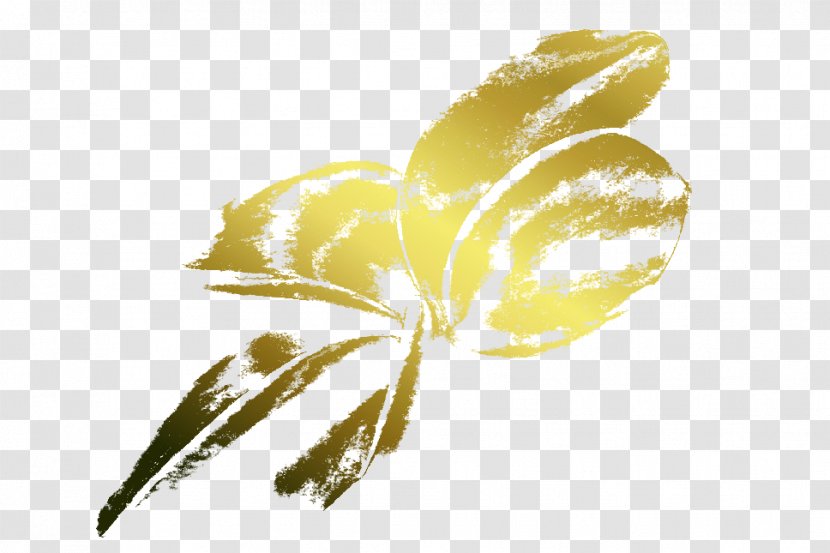 Insect Flower Petal Plant Stem Yellow - Plumeria Transparent PNG