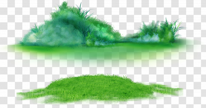 Green Grass Plant Leaf Aquarium Decor Transparent PNG