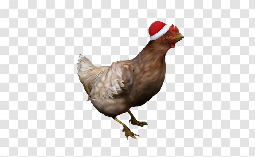 Counter-Strike: Global Offensive Source Team Fortress 2 Chicken - Bird - Chickens Transparent PNG