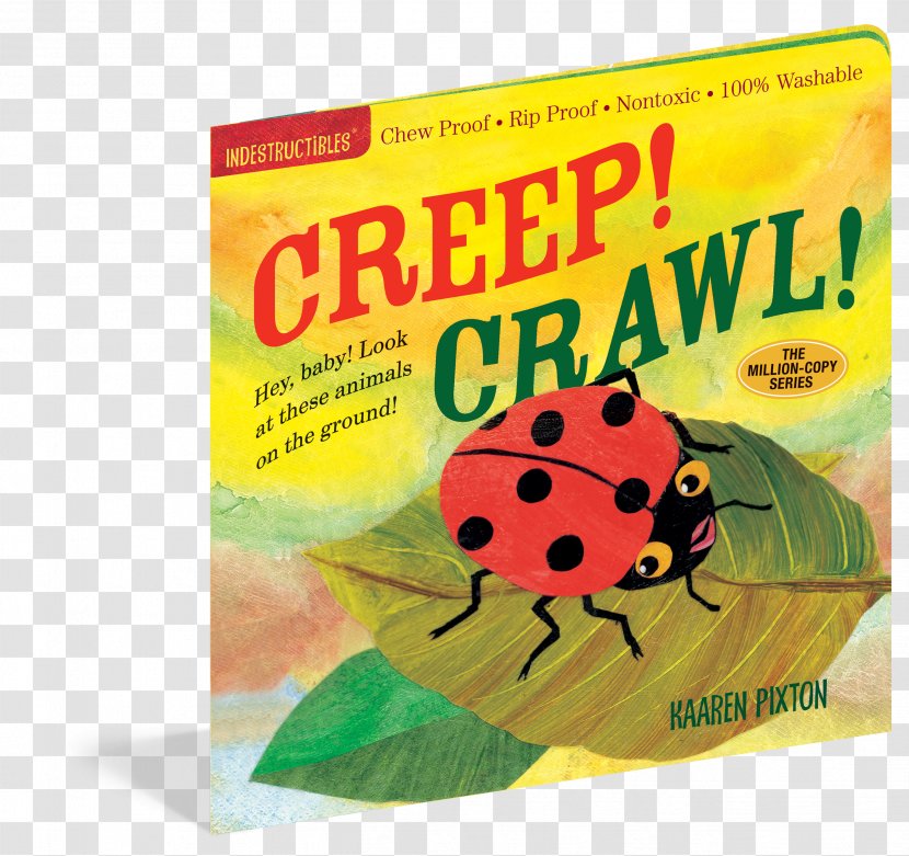 Creep! Crawl! Indestructibles: Baby Babble Faces Welcome, Flutter! Fly! - Amy Pixton - Book Transparent PNG