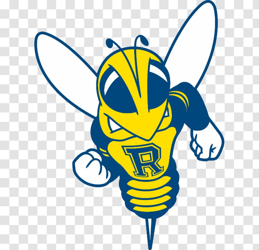 Rochester Yellowjackets Football Men's Basketball Women's University Of Office Admissions - Electric Blue - Roch Banner Transparent PNG