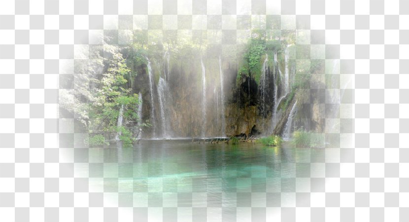 Lake National Park Waterfall Hotel - Grass Transparent PNG