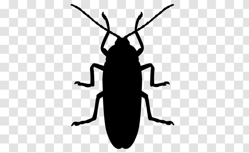 Cockroach Insect Silhouette Icon - Shutterstock Transparent PNG