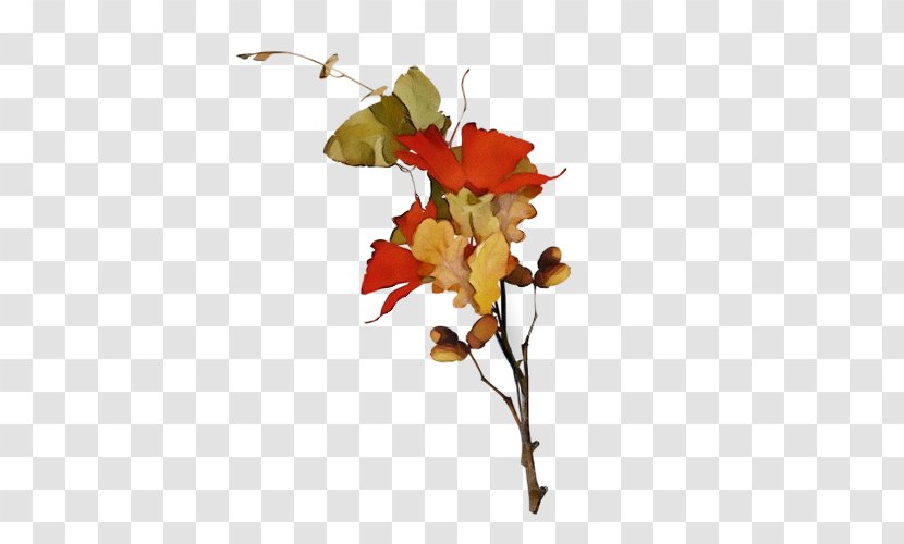 Autumn Tree Branch - Plant - Stem Plane Transparent PNG