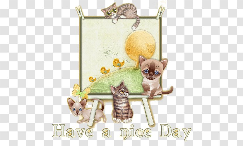 Kitten Idgie Threadgoode Cat Abdominal Exercise Discover Card - Carnivoran - Good Morning Ladies Gentlemen Transparent PNG