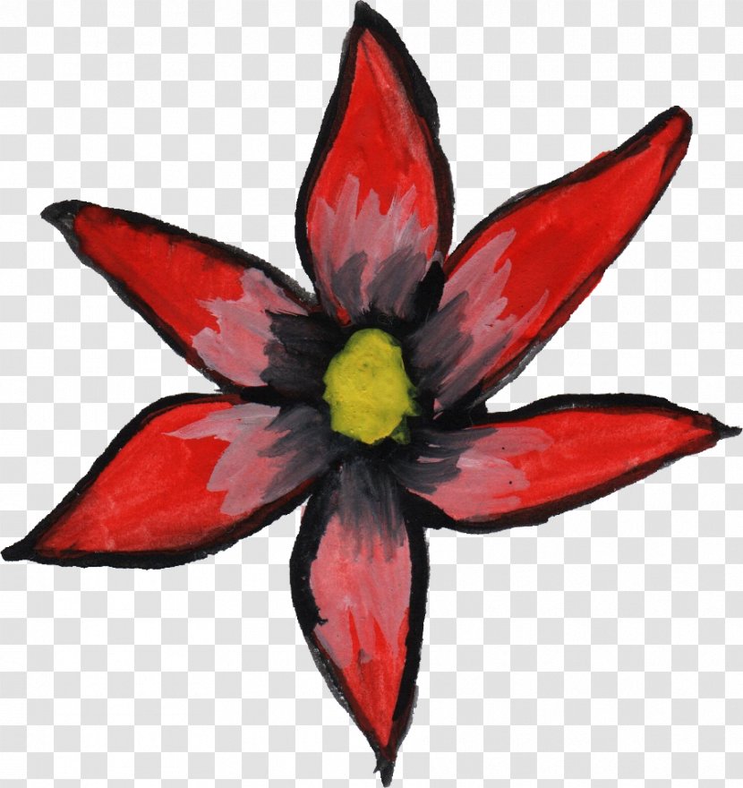 Flower Watercolor Painting Red Drawing - Flowering Plant Transparent PNG