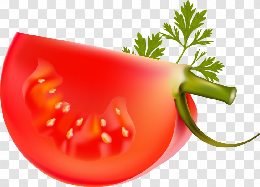 Chili Pepper Vegetable Capsicum Tomato Bell - Carrot Transparent PNG