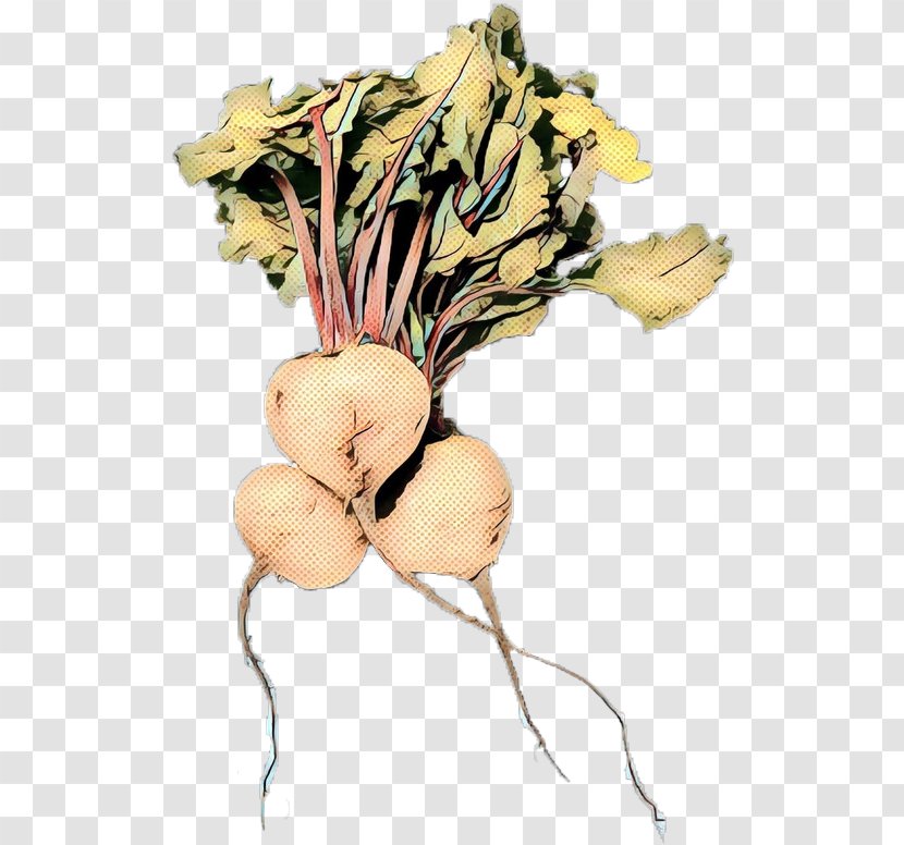 Flower Plant - Food Root Vegetable Transparent PNG