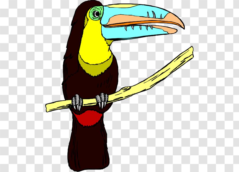 Toucan Bird Clip Art - Keelbilled - Beak Cliparts Transparent PNG