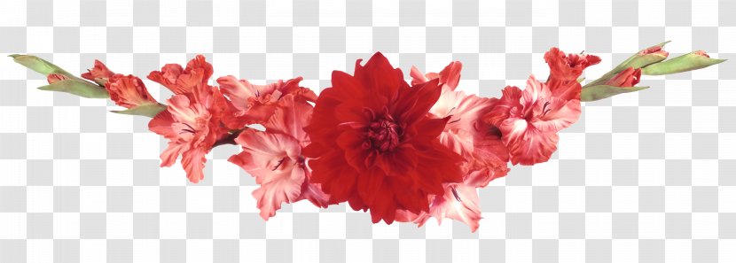 Flower Garden - Gladiolus Transparent PNG