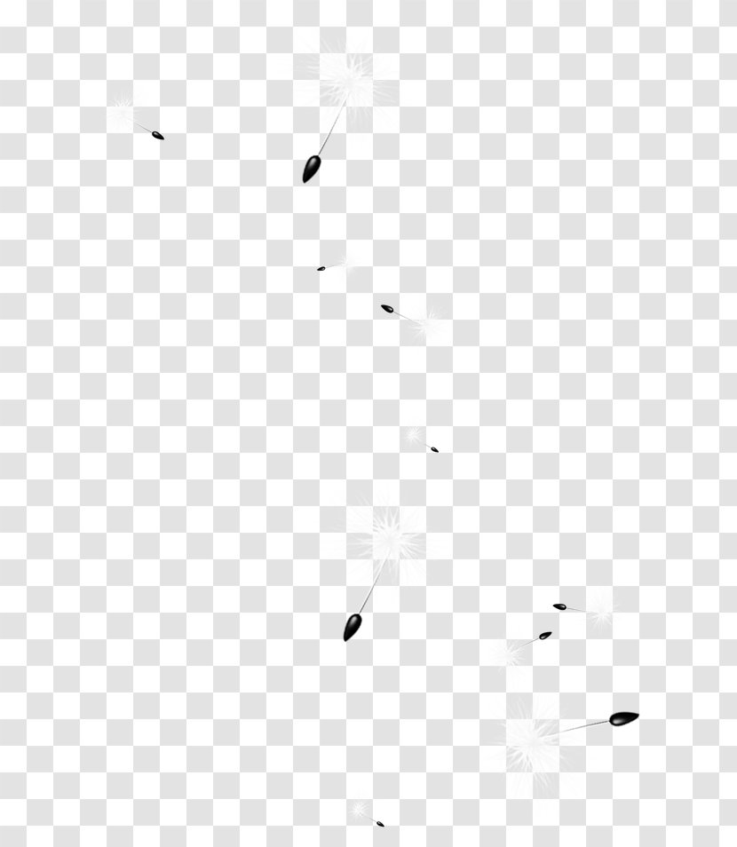 Black And White Line Point Angle - Texture - Dandelion Transparent PNG
